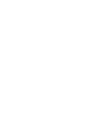 Delivery Terms Quality Terms Terms & Conditions Faq